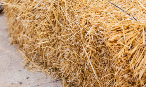 Square bale of hay
