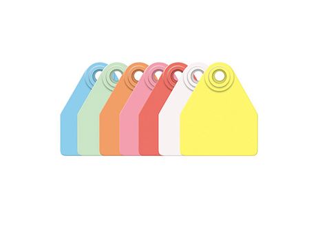 Allflex Ear Tag Medium Female/Small Male - Orange 26-50